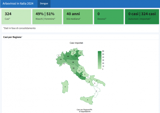 mappa casi dengue